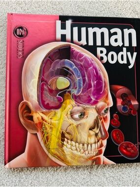 the Human Body book from the Insiders series